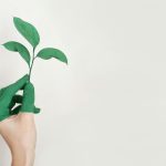 planta que empieza a tener crecimiento como símbolo de la persona en el crecimiento personal